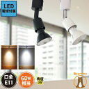 【全品ポイント10倍以上】ダクトレール スポットライト 照明 ライト レールライト LED電球付き 60W 黒 白 E11RAIL-LSB5611D ビームテッ...