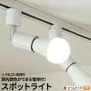 【数量限定】【リモコン別売り】ダクトレール スポットライト 照明 ライト レールライト E26 LED電球付き 60W 相当 210度 調光 調色 電球色 昼白...