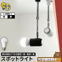【数量限定】【リモコン別売り】ダクトレール スポットライト 照明 ライト レールライト E26 LED電球付き 60W 相当 210度 調光 調色 電球色 昼白...