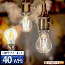 LED電球 E26 40W 相当 300度 フィラメント エジソン レトロ 北欧 虫対策 濃い電球色 300lm 電球色 500lm LDA4-F-BT-G ビームテック