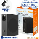 ウーファー スピーカー Bluetooth LDRSPK12専用 LDRSPK-W1 ビームテック