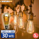 5個セット LED電球 E26 30W 相当 300度 フィラメント エジソン レトロ 北欧 濃い電球色 300lm LDST4H-FD-BT-G--5 ビーム...