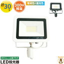 LED投光器 ダクトレール スポットライト 電球色 昼光色 黒 白 30W IP65 屋内 屋外 防塵 耐塵 防水 LEW030DR ビームテック