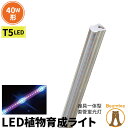 LED 植物育成 水耕栽培 LEDライト 観