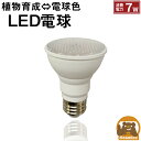 LED 植物育成 水耕栽培 LEDライト 観