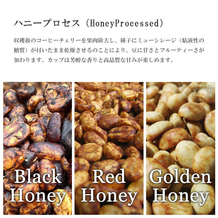 アルモンテ・ホワイトハニー(200g/生豆時) コーヒー豆 おいしい ブラック カフェオ...