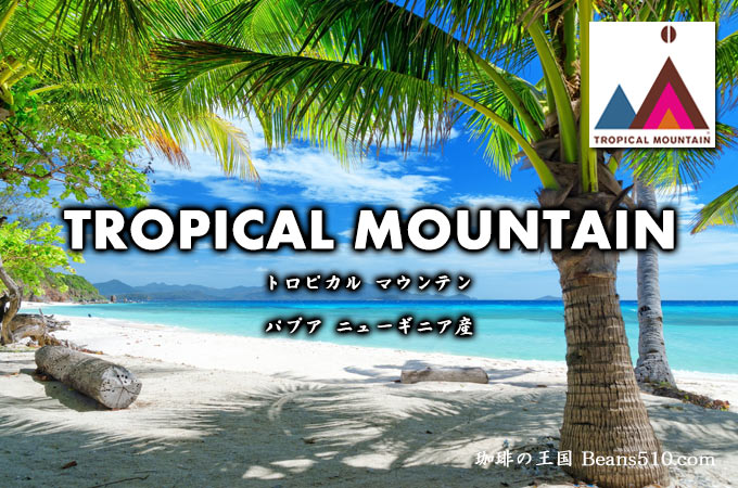 ������̵���ۥȥ��ԥ���ޥ���ƥ�(1kg) �����ҡ�Ʀ �������� �֥�å� ���ե����� �������� ������� ��̣���� �����������ҡ� �����ץ�å� ���� Ʀ ������ �����ҡ� ���������� ��Ʀ ���� ����Ʀ ����̵��