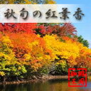 【秋限定】秋旬の紅葉香(200g)