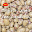 訳あり 大粒白しょうゆ落花生 560g 1000円ポッキリ 送料無料 1000円 ナッツ お菓子 豆菓子 おやつ 家飲み 宅飲み おつまみ ギフト プチギフト ...