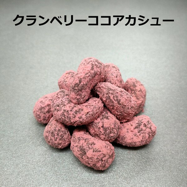 クランベリーココアカシュー 豆菓子 ナッツ 菓子 お菓子 おつまみ お茶菓子 おやつ クランベリー ココア カシューナッツ チャック付き 徳用サイズ 3980円以上ご購入で 送料無料 母の日 大袋 ギフト