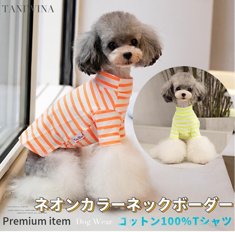 楽天Beanspet 楽天市場店【最大10％OFFまとめ買いクーポン配布中♪】 【セール】 犬服 春 春夏 犬 カットソー シャツ ネオンカラー ネック ボーダー ブランド 高級 犬 服 犬の服 ドッグウェア 猫 小型犬 中型犬 ペット用 おしゃれ 洋服 可愛い 秋 【動画あり】