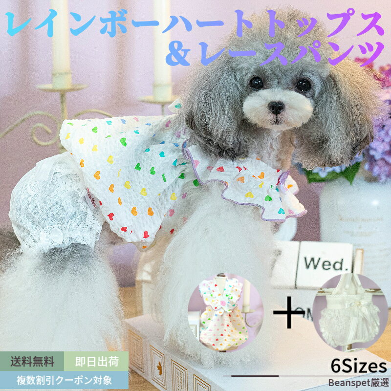 【最大10％OFFまとめ買いクーポン配布中♪】 【2点セット】 犬服 ワンピース taniwina レインボーハート トップス レース パンツ ブランド 高級 犬 服 犬の服 ドッグウェア 小型犬 中型犬 おしゃれ 洋服