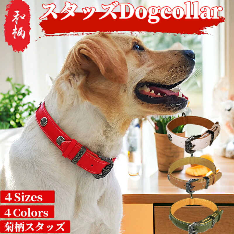 【P5倍対象商品】 犬 スタッズ首輪 