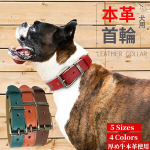 『 2点以上10%OFF 』 犬首輪 犬用首輪 ベーシック ベルト 本革 犬 首輪 おしゃれ かわいい 小型犬 中型犬 大型犬 犬の首輪 柴犬 フレンチブルドッグ いぬ くびわ 犬用品 送料無料