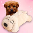 Leap Raupe 犬 おもちゃ ぬいぐるみ 犬用ぬいぐるみ 分離不安解消ぬいぐるみ 犬 ぬいぐるみ おもちゃ 噛んでも壊れない犬のおもちゃ ダークブラウン