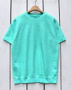 Good On Special Color SS Terry Shirts / sweat crew Light French Terry Mint Pigment ObhI  e[Vc N[lbN XEFbg  ~g i ʒJ[ men goodo good on