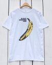 The Velvet Underground & Nico / Banana Device official Print Tee / BANANA White / rock band FFbg A_[OCh oii vg TVc /  zCg  ItBV bN oh