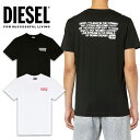 ディーゼル Tシャツ メンズ DIESEL ディーゼル メンズ 半袖Tシャツ TEET-DIEGOR-K57 T-SHIRT バックロゴ　カットソー　デカロゴ　ビッグロゴ　Tシャツ　新作