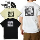 ノースフェイス Tシャツ THE NORTH FACE ボックスロゴ 半袖 カットソーNF0A7X1K NF0A2ZXE SS RED BOX CELEBRATION TEEトップス クルーネック バックプリント