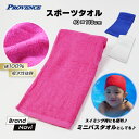 SPORTS TOWEL タオル 毎日 白 青 スポーツタオル スポーツ コットン 肌触り 綿 ふわふわ フワフワ 運動 マラソン スポーツ ヨガ エクササイズ...