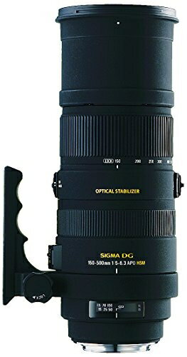٥ۡॺ㤨֡š (Sigma SIGMA Ķ˾󥺡 APO 150-500mm F5-6.3 DG OS HSM Υ ե륵б 737542פβǤʤ76,400ߤˤʤޤ