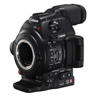 Canon EOS C100 デジタルシネマカメラ 充電器 バッテリー セット Canon EOS C100 デジタルシネマカメラ 充電器 バッテリー セット