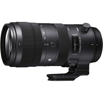  SIGMA 70-200mm F2.8 DG OS HSM | Sports S018 | Sigma SAマウント | Full-Size/Large-Format