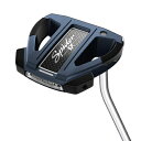【中古】 TAYLORMADE(テーラーメイド)SPIDEREX(スパイダーイーエックス)パター【カタログ純正シャフト装着モデル】シングルベンドメンズゴルフクラ...