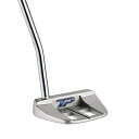 【中古】 TAYLOR MADE(テーラーメイド) TP COLLECTION HydroBLAST(ティー ピー コレクション ハイドロ ブラスト) パター ...
