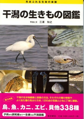 【中古】 干潟の生きもの図鑑