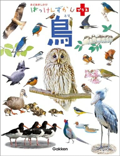 【中古】 鳥 (はっけんずかんプラス)