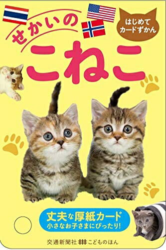 【中古】 はじめてカードずかん せかいのこねこ [知育・カードずかん] (こどものほん)