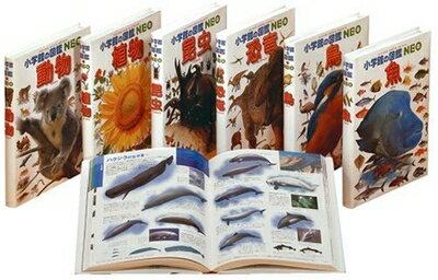 楽天市場】小学館の図鑑neo/いきもの総合学習・6冊セットの通販 楽天市場】小学館の図鑑neo/いきもの総合学習・6冊セットの通販