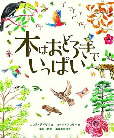 【中古】 木はおどろきでいっぱい