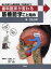 #7: 歯科臨床が変わる筋機能学こと始め―筋の生理から運動指導・手技療法までの画像