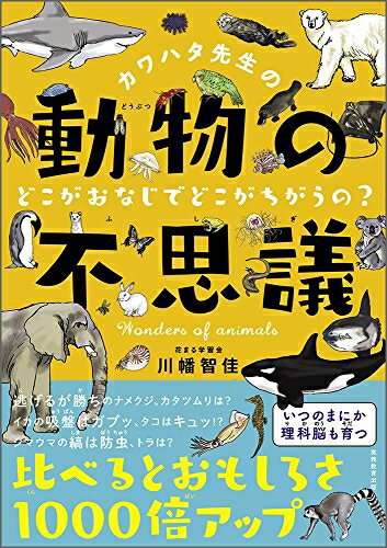 【中古】 カワハタ先生の動物の不思議 どこがおなじでどこがちがうの? (花まる学習会の本)