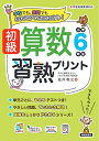 【中古】 初級算数習熟プリント 小学6年生 (初級算数習熟プリントシリーズ)