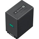 【中古】 ソニー(SONY) ビデオカメラ用バッテリー リチャージャブルバッテリーパック NP-FV100A (FDR-AX45A/HDR-CX680用)