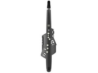 š Roland Aerophone AE-10G Graphite Black (եȥ֥å) ɥ󥻥 ...