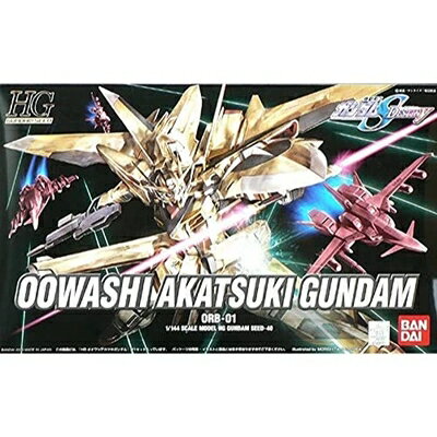 【中古】 HG 機動戦士ガンダムSEED DESTINY オオワシ