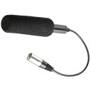 【中古】 Panasonic AG-MC200G microphone