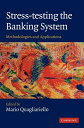 【中古】 Stress-testing the Banking System: Methodologies and Applications