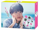 【中古】 こっち向いてよ向井くん DVD-BOX