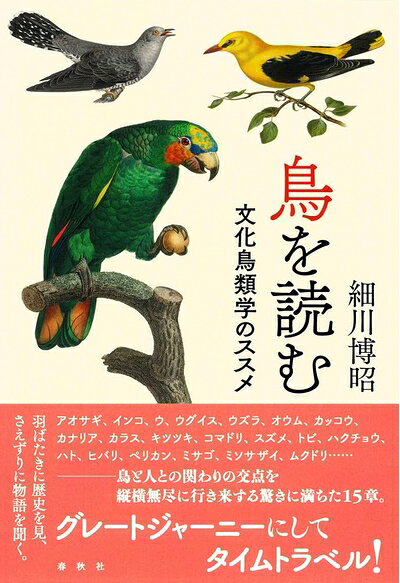 【商品名】鳥を読む: 文化鳥類学のススメ（中古品）中古本の特性上【ヤケ、破れ、折れ、メモ書き、匂い】等がある場合がございます。また、商品名に【付属、特典、○○付き、ダウンロードコード】等の記載があっても中古品の場合は基本的にこれらは付属致しません。当店の中古品につきましては商品チェックの上、問題がないものを取り扱っております。ご安心いただきました上でご購入ください。【ご注文〜発送完了までの流れ】ご注文は24時間365日受け付けております。当店から商品発送後に発送通知メールが送信されます。発送までの期間といたしましては、ご決済完了後より2〜5営業日程度となります。【ご注意事項】当店はお客様都合によるご注文・ご決済後のキャンセル・返品はお受けしておりません。ご承知おきのうえご注文をお願いいたします。当店は一部商品を他モール等と併売させていただいております。完売の際はご連絡させていただきます。予めご承知おきのほどお願いいたします。掲載されております画像はイメージとなります。実際の商品とは色味・付属品等が異なる場合がございますため、予めご承知おきください。