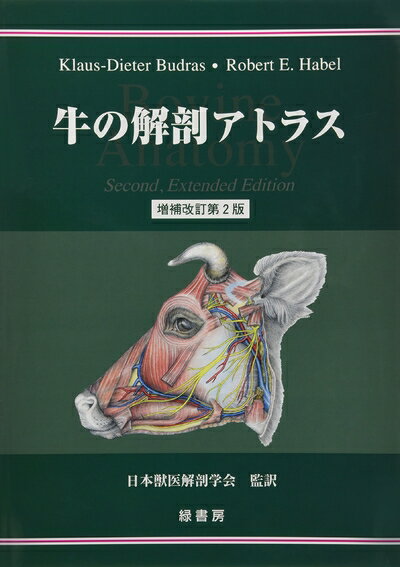 【中古】 牛の解剖アトラス