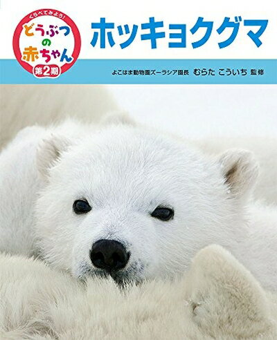 【中古】 ホッキョクグマ