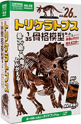 【中古】 トリケラトプス1/35骨格模型キット&本物の大きさ特大ポスター (科学と学習PRESENTS)