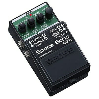 š BOSS RE-2 Space Echo ڡ  ǥ쥤 С ե