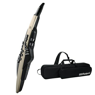 【中古】 Roland AE-20 Aerophone ウィンドシンセサイザー (ゴールド)
