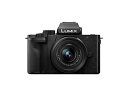 【中古】 パナソニック Vlog ミラーレス一眼カメラ ルミックス G100K 標準ズームレンズキット ブラック DC-G100K-K